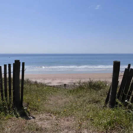 Renove Avec Vue Mer, Acces Direct Plage, Parking Privatif, 4 Couchages - - Fr-1-224-799 *